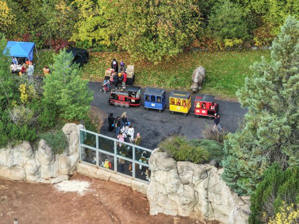 Boo at the Zoo 2025 – Lake Superior Zoo